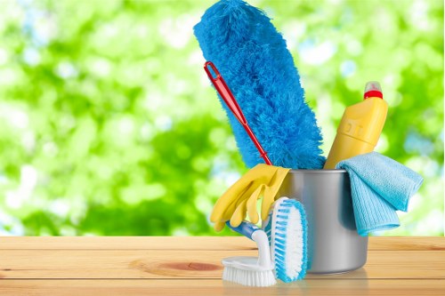 Professional steam carpet cleaning equipment used in a Bayswater home