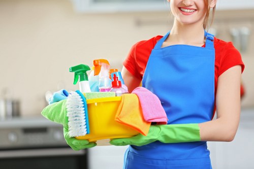 Bathroom move-in cleaning with attention to fixtures and tiles