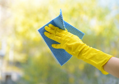 Domestic cleaner working in a Bayswater apartment living room