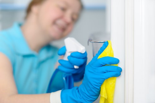 Trained carpet cleaning technician in Bayswater using protective gear