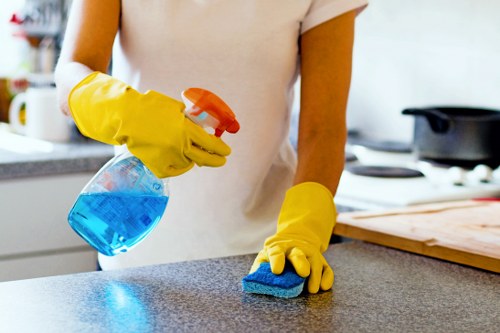 Professional oven cleaning service for a Bayswater home kitchen