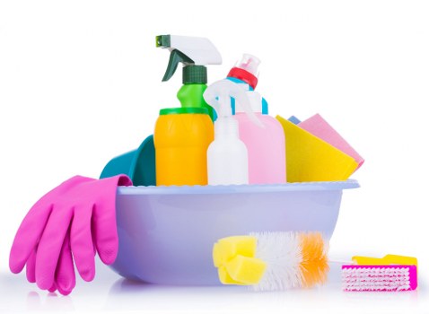 Professional regular cleaning for Bayswater homes and apartments