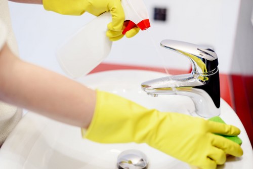Local domestic cleaning service supporting a Bayswater household