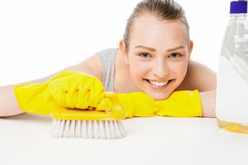 Deep cleaning treatment for high-traffic commercial carpets in Bayswater