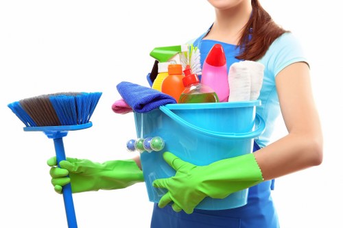 Detailed window cleaning service for a Bayswater property