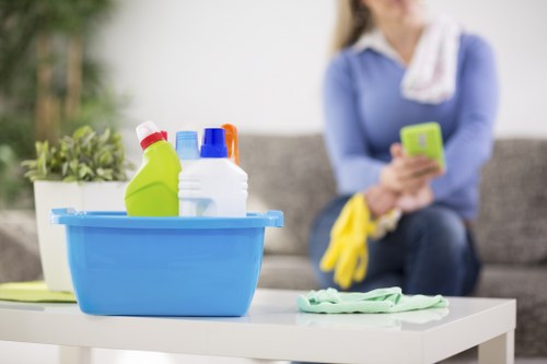 Detailed cleaning process in a Bayswater living room