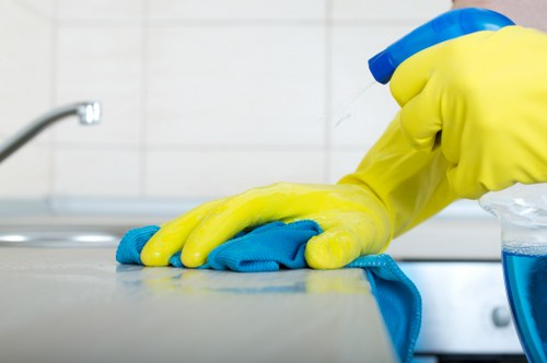 Deep cleaning upholstery affected by pet stains in Bayswater