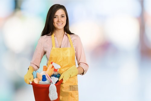 Local Bayswater short-stay cleaner handling property access and presentation