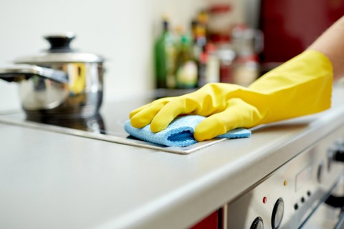 Deep cleaning of oven racks and trays in Bayswater