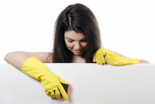 Carpet stain removal service for Bayswater apartments and houses